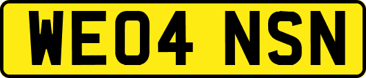 WE04NSN