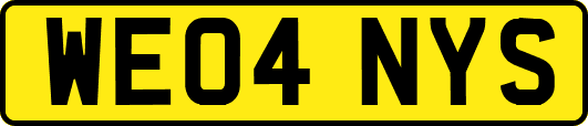 WE04NYS