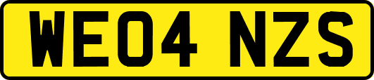 WE04NZS