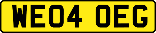 WE04OEG