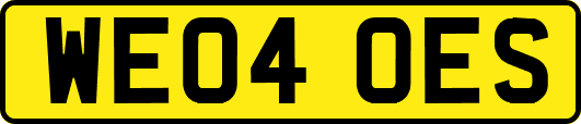 WE04OES
