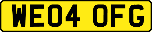 WE04OFG