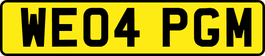 WE04PGM