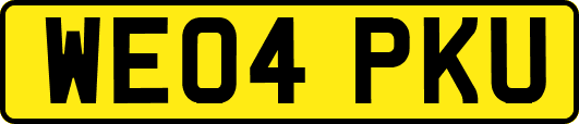 WE04PKU
