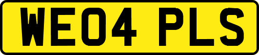 WE04PLS