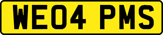 WE04PMS