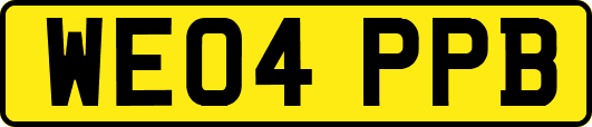 WE04PPB