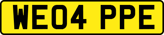 WE04PPE