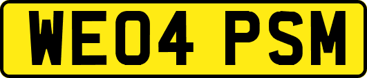 WE04PSM