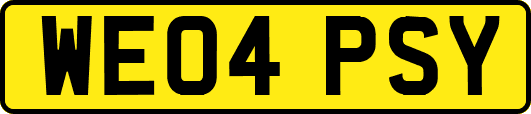 WE04PSY
