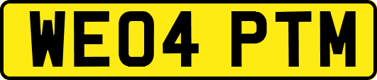 WE04PTM