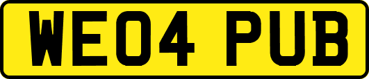WE04PUB