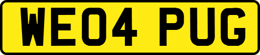WE04PUG