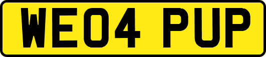 WE04PUP