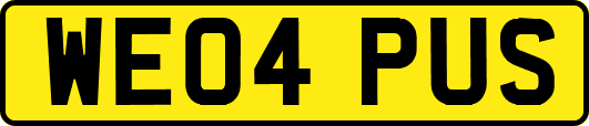 WE04PUS