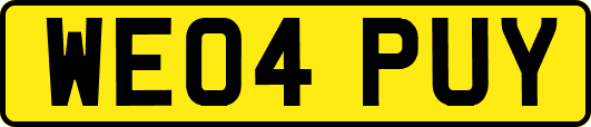WE04PUY