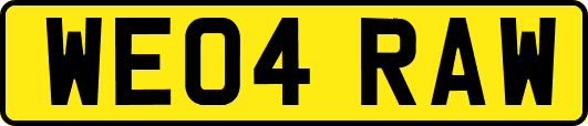 WE04RAW