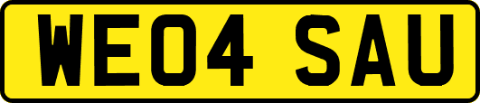 WE04SAU