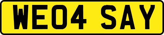 WE04SAY