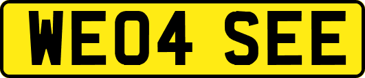 WE04SEE