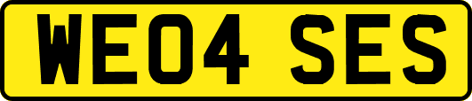 WE04SES