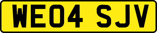 WE04SJV