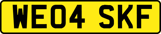WE04SKF