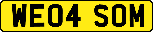 WE04SOM