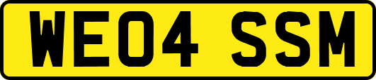 WE04SSM