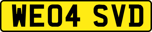 WE04SVD