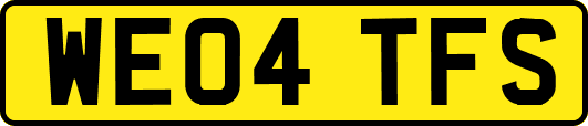 WE04TFS