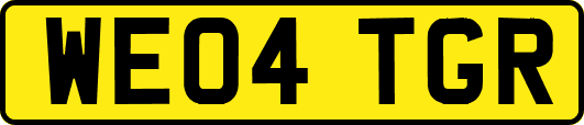 WE04TGR