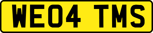 WE04TMS