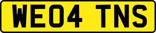WE04TNS