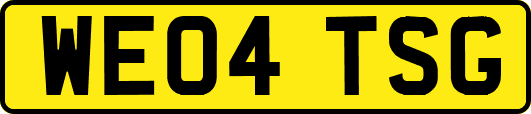 WE04TSG