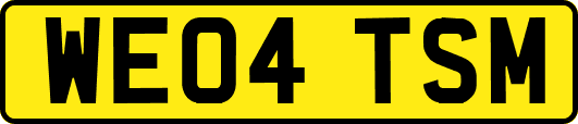WE04TSM