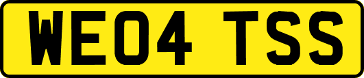 WE04TSS