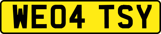 WE04TSY