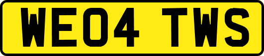 WE04TWS