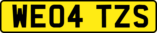 WE04TZS
