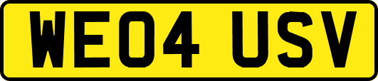 WE04USV