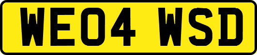 WE04WSD