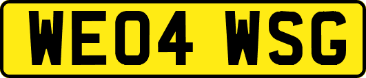 WE04WSG