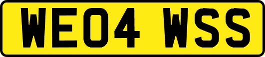WE04WSS