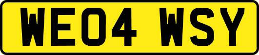 WE04WSY