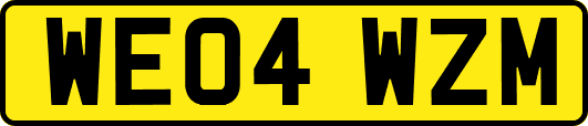 WE04WZM