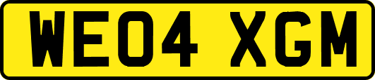 WE04XGM