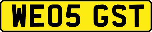 WE05GST