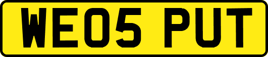 WE05PUT