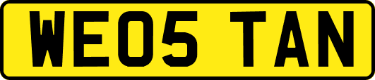 WE05TAN